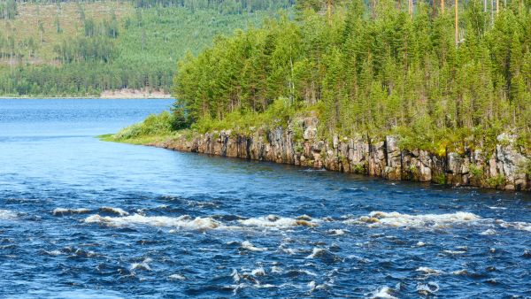 Forsande vatten i en älv i norra Sverige. En vacker sommarbild. Forsen rinner förbi en ö med klippor ned mot älven, i bakgrunden syns ett avverkat hygge.